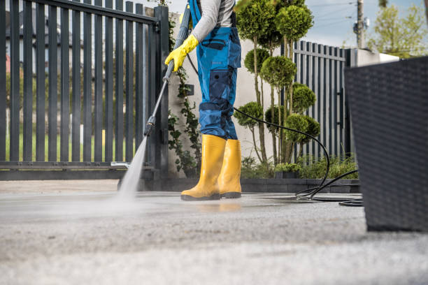 Best Pressure Washing Patio  in Lovington, IL