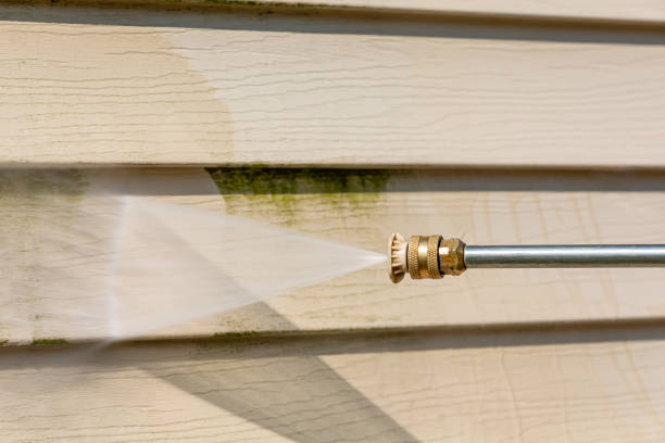 Best Roof Pressure Washing  in Lovington, IL